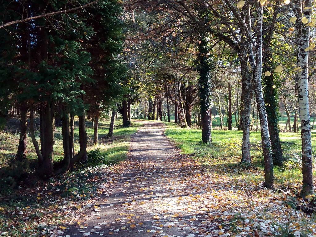 Iberik Gran Balneario De Guitiriz Ξενοδοχείο Εξωτερικό φωτογραφία